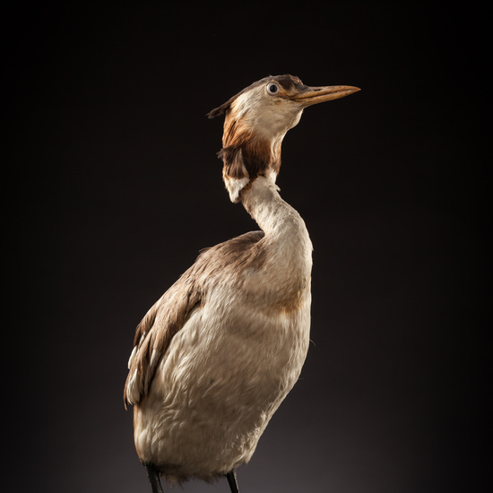 IES_CERVANTES_BIOLOGIA_023