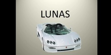 LUNAS