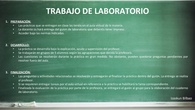 Desarrollo del trabajo en el laboratorio
