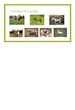 Animales granja T5 Canva