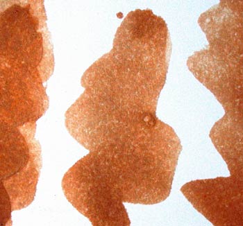 Composición pictórica en marrón