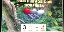 Cuento "Tres huevos con sorpresa"