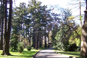 Parque Beacon Hill, Victoria