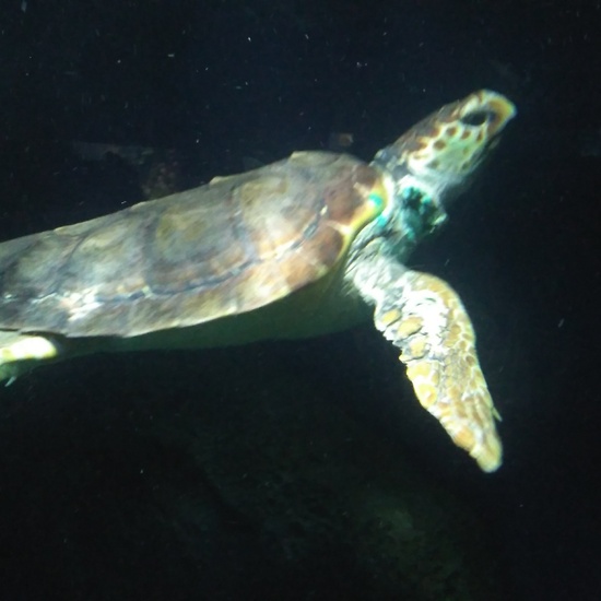 3ºE- Fotos Primer Trimestre 26