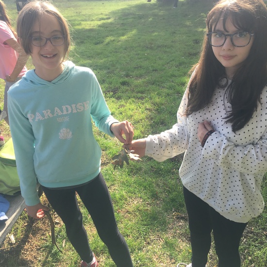 Viaje al Escorial 14