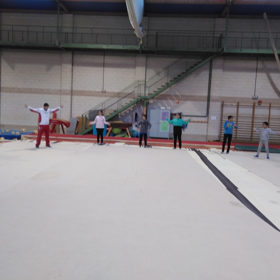 Gimnasia de trampolín 6