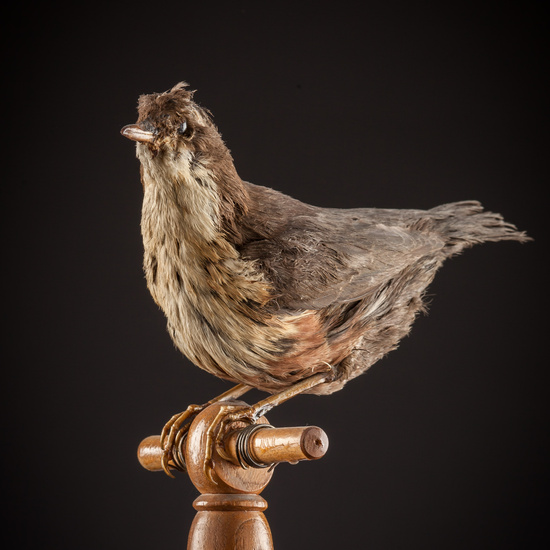 IES_SANISIDRO_BIOLOGIA_435