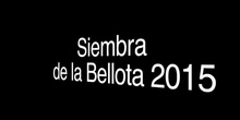 Siembra de la Bellota