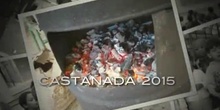 CASTAÑADA 2015