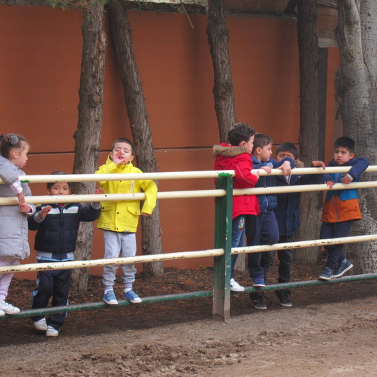 Granja Escuela Educación Infantil Curso 2017-18 33