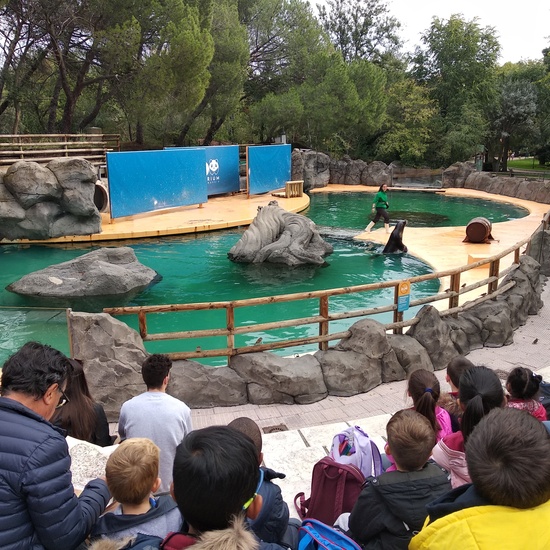 Visita al zoo 2019 15
