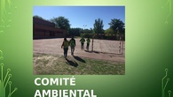 Comité ambiental