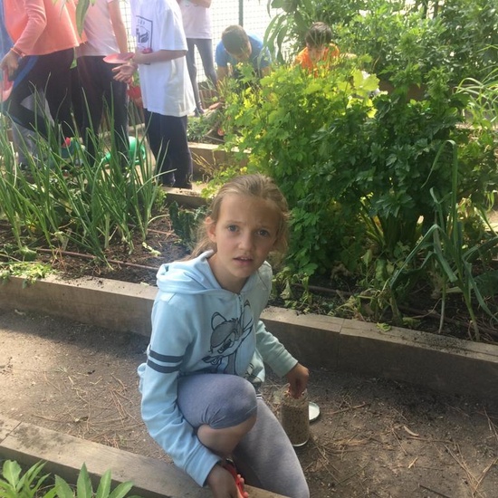 2019_05_Los alumnos de 4º en el Huerto_CEIP FDLR_Las Rozas 2