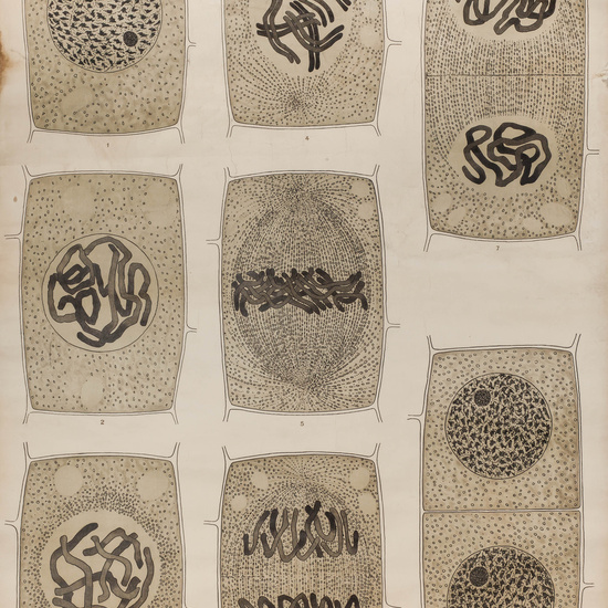 IES_SANISIDRO_LAMINAS_031