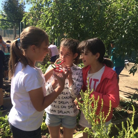 2019_06_11_4º observa insectos en el huerto_CEIP FDLR_Las Rozas 29