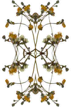 Composición en tonos originales