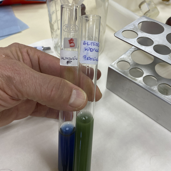 fehling almidon y almidón parcialmente hidrolizado por amilasa