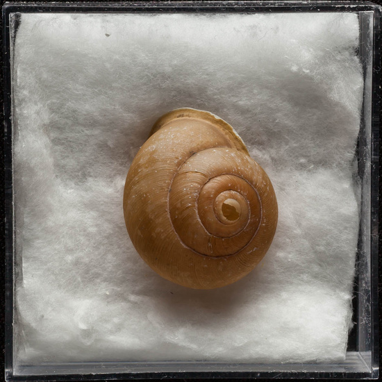 IES_ISABELLACATOLICA_BIOLOGIA_377