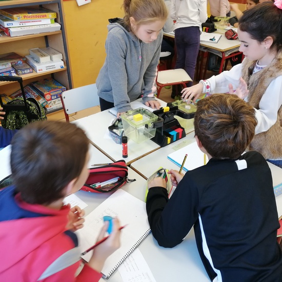 Medir y estimar masa 2