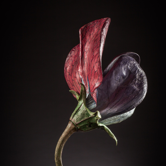 IES_ISABELLACATOLICA_BIOLOGIA_167