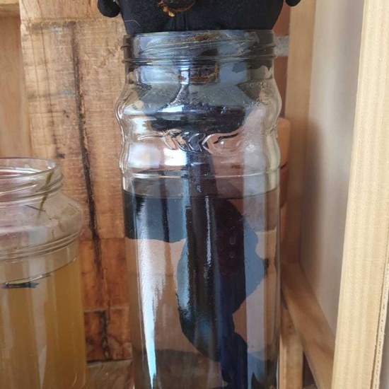 Taller de Cespines 6