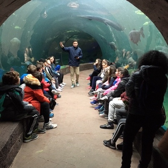 Parque de la Naturaleza. Faunia. 5º Curso. 9