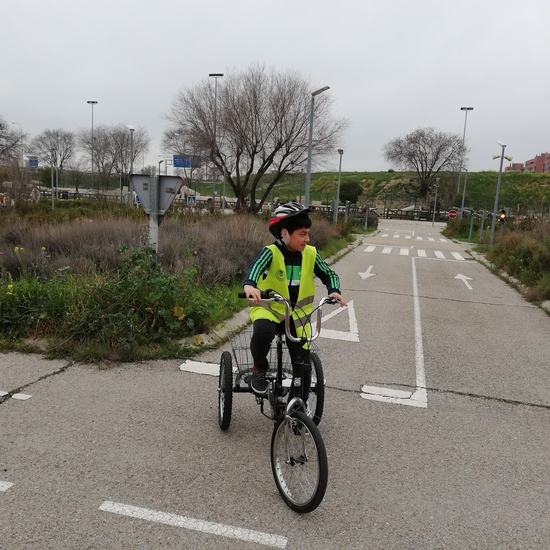 Educación Vial. 6º 17