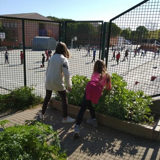 2019_04_Quinto en el huerto_CEIP FDLR_Las Rozas 11