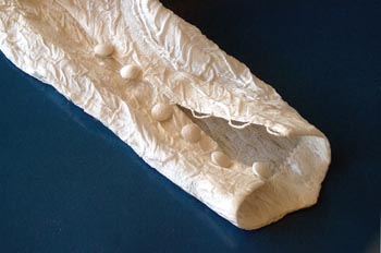 Abrochado con presillas