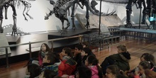 VISITA AL MUSE DE CIENCIAS 3ºA 8