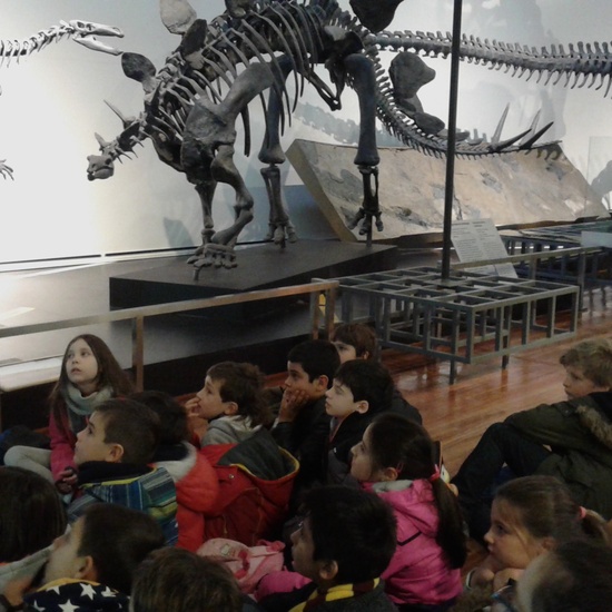VISITA AL MUSE DE CIENCIAS 3ºA 8