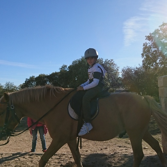 Mohernando 2017_2 30