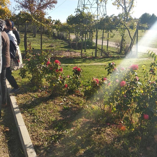 Parque Polvoranca 18