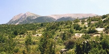 Zona de arbustos en Sierra de Guara