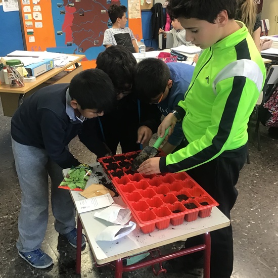 El año hortelano de 4º B 22