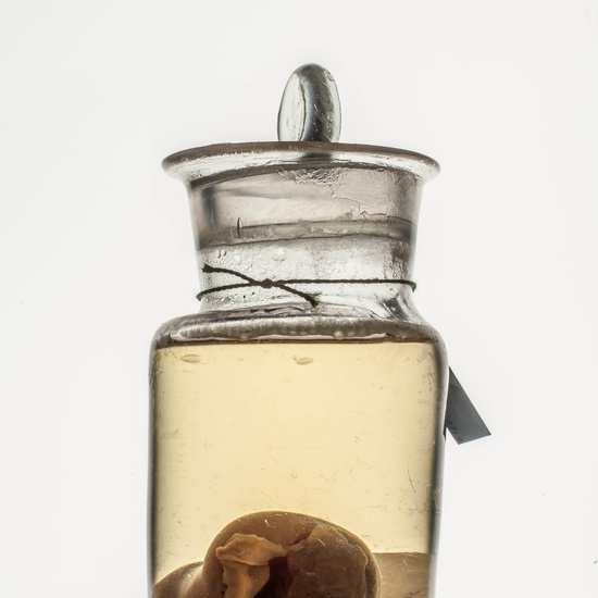 IES_CARDENALCISNEROS_CIENCIASNATURALES_007