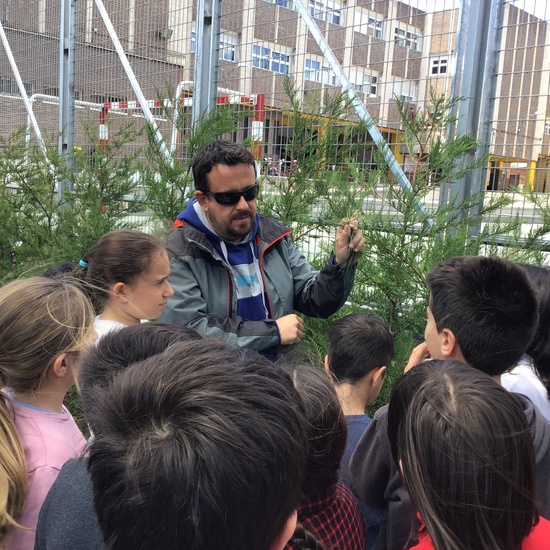 El año hortelano de 4º B 38