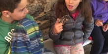 2020_02_27_3º visita Insectpark (2)_CEIP FDLR_Las Rozas 36