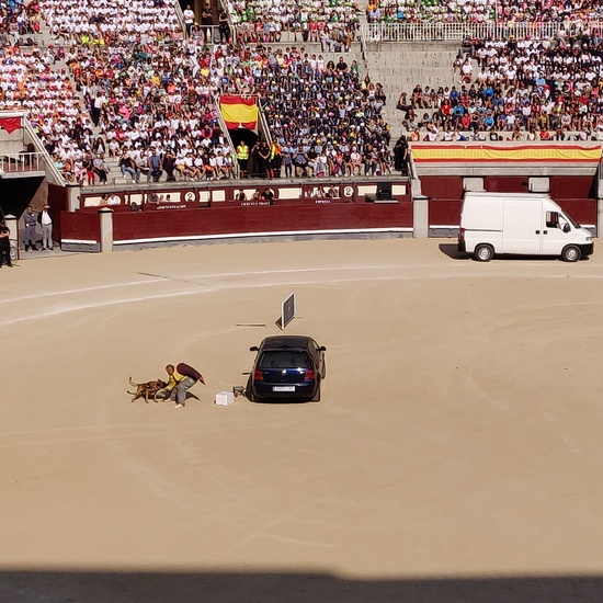 Las Ventas 2019 29