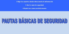 PAUTAS BÁSICA DE SEGURIDAD