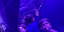 Visita Atlantis Aquarium (CEIPSO San Miguel) - Curso 2022/2023