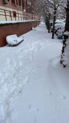 Fotografías Filomena 20