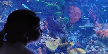 FOTOS AQUARIUM 1 18