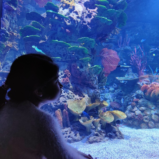 FOTOS AQUARIUM 1 18