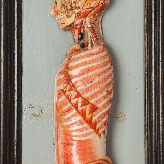 IES_SANISIDRO_BIOLOGIA_353