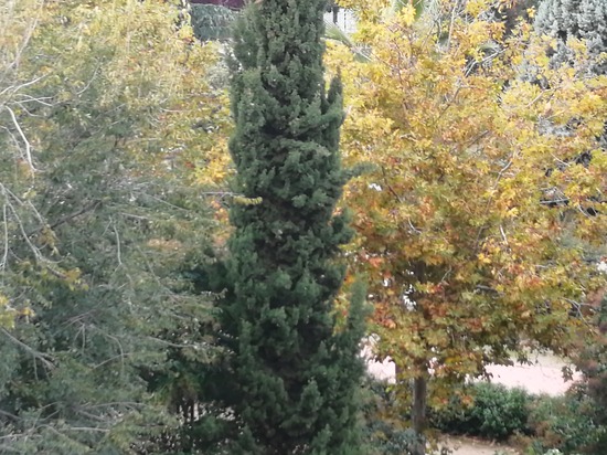 Gonzalo Rojas 1ºF foto 2 concurso fotografía IES Satafi