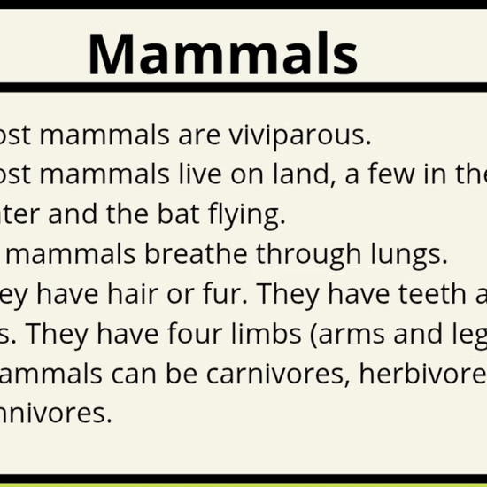 MAMMALS THEORY