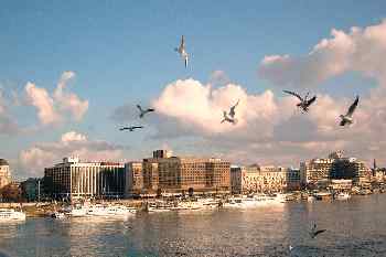 Gaviotas en el cielo de Budapest, Hungría
