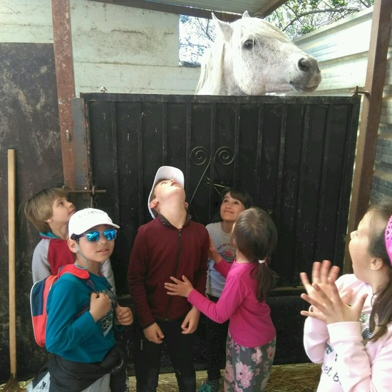 SALIDA NATURALEZA 18