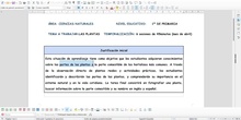 VÍDEO TAREA 6